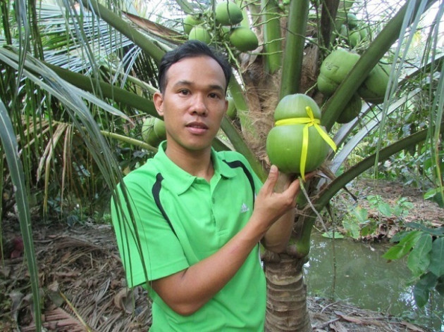 Hàng độc: Gà uống thuốc bắc, cá lăng tập thể dục