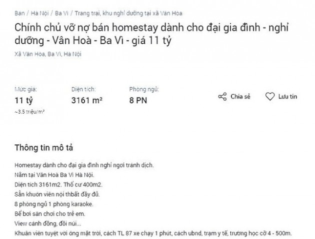 Hàng loạt homestay rao bán vì 'kiệt sức' do dịch kéo dài ảnh 2