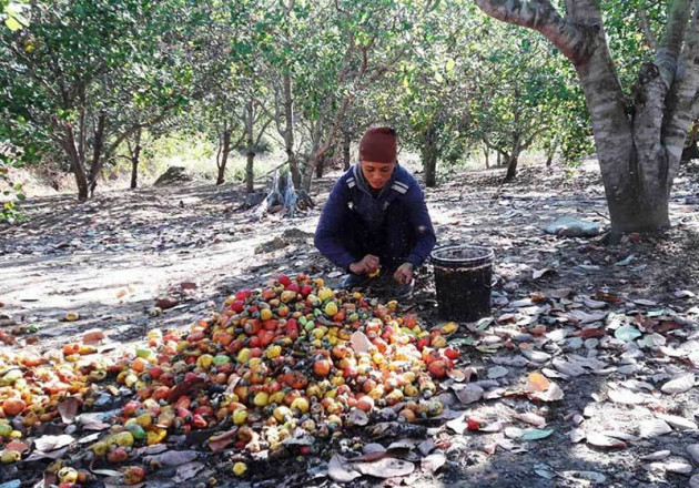 Hàng ngoại đổ về, đặc sản Việt giảm giá kỷ lục, dân kêu lỗ nặng