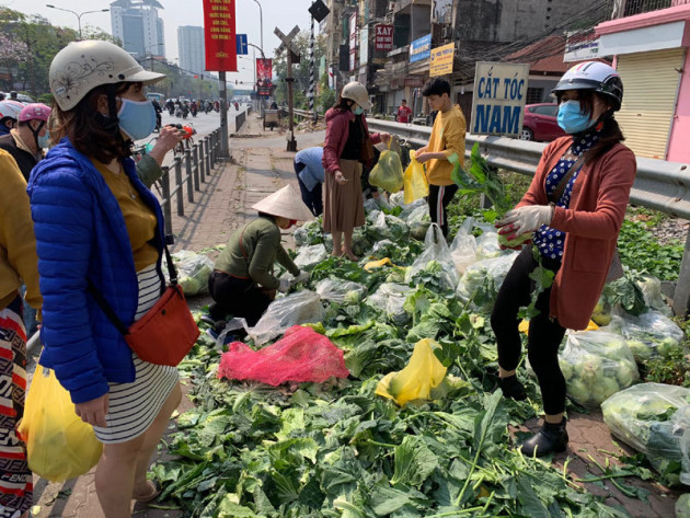 Hàng trăm tấn rau Hải Dương về Hà Nội: Vài nghìn/kg, gọi nhau giải cứu