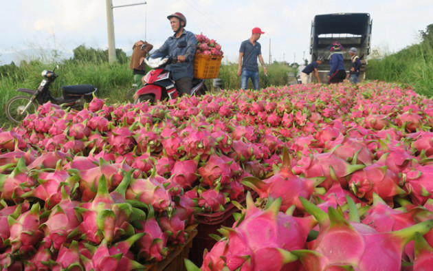 Hàng trăm thương lái Trung Quốc đổ bộ, 300 điểm gom hàng qua biên giới