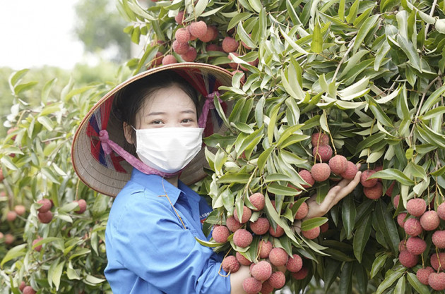 Hành trình 'chuyển quân', thần tốc cùng điểm nóng Bắc Giang