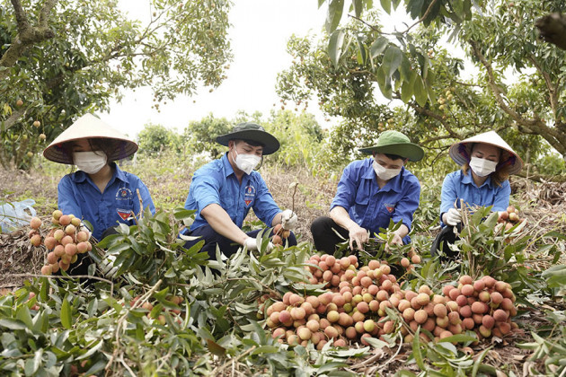 Hành trình 'chuyển quân', thần tốc cùng điểm nóng Bắc Giang