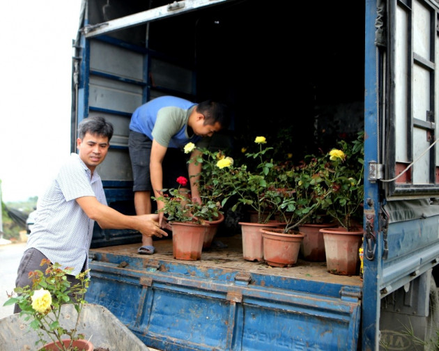 Hoa của Mê Linh được vận chuyển đi khắp cả nước