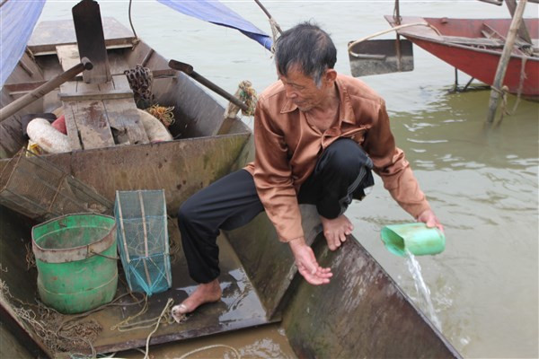 Hành trình hồi sinh cá Anh Vũ - 'thần ngư' trên đỉnh Ái Au