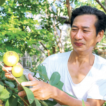 Hé lộ bất ngờ về 'báu vật' của làng là thứ trái đặc sản quý hiếm này đâyicon