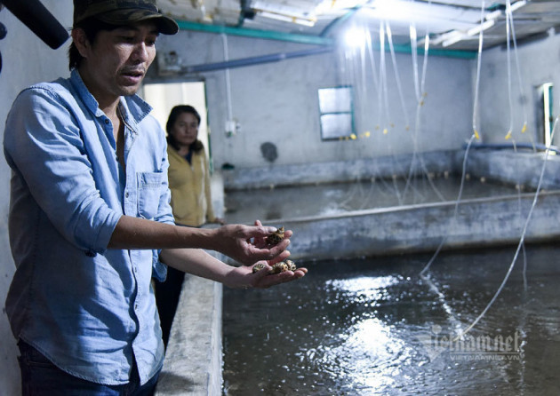 Hé lộ quy trình tạo ra 'kho báu' 34 tỷ đồng của lão nông Quảng Trị