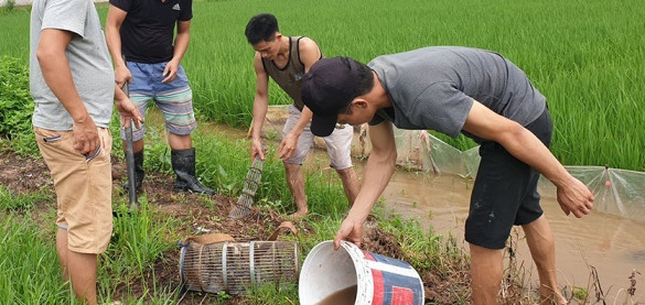 Hết hồn với đặc sản thịt chuột của người Hà Nội, nhìn khiếp đảm nhưng giá lại không hề rẻ - Ảnh 2.