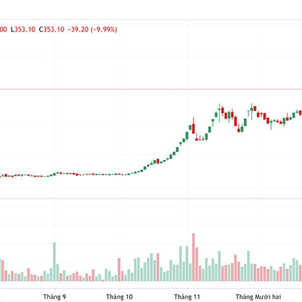 Hiện tượng lạ: Tăng gấp 12 lần, cổ phiếu 'bé hạt tiêu' chiếm đỉnh giáicon