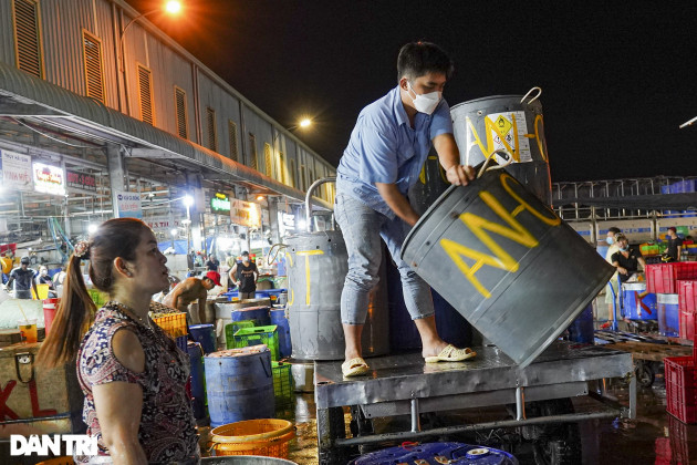 Hơn 300 tấn cá lóc nhập về chợ cá lớn nhất Sài Gòn trước ngày vía Thần tài