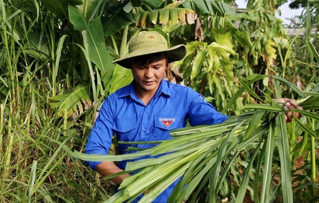 Kết con 'dễ thương', dưỡng con 'lầm lừ', thu hàng trăm triệu đồng/năm