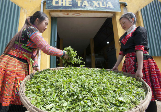 Kho báu cổ của người Mông ẩn hiện trong 'Thiên đường mây'