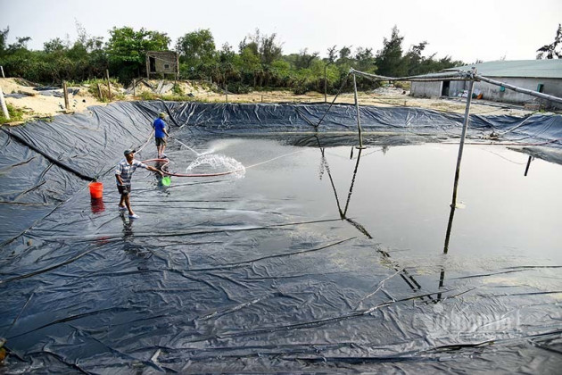 ‘Kho báu’ dưới đáy ao của ông chủ khách sạn, mỗi năm mò lên thu 34 tỷ