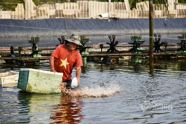 ‘Kho báu’ dưới đáy ao của ông chủ khách sạn, mỗi năm mò lên thu 34 tỷ