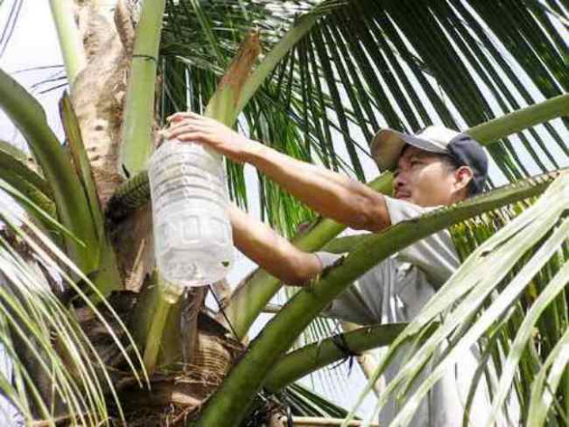 Kho tin nghe tra luong cao ngat o Viet Nan van thieu nguoi lam-Hinh-12