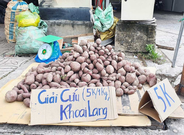 Khóc ròng trên ruộng, 'vương quốc khoai lang' miền Tây kêu cứu