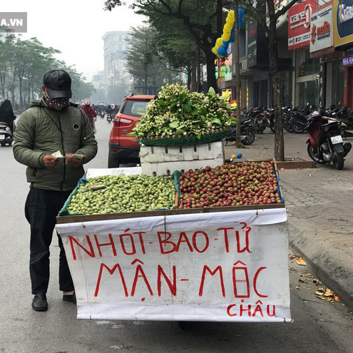 Kiếm tiền triệu mỗi ngày nhờ bán rong quả xanh đầu mùaicon