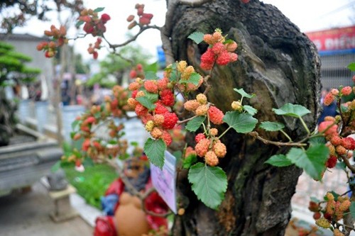 Phong thủy,phong thủy nhà ở