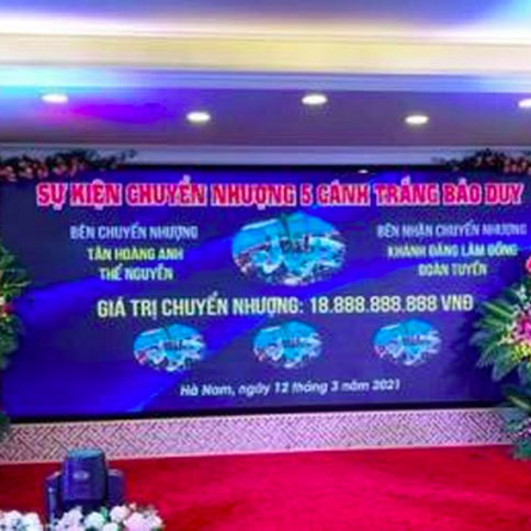 Lan Bảo Duy giá 19 tỷ đồng: Nếu giá ảo quá sẽ trốn thuếicon