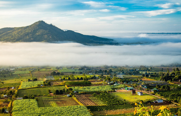 Làn sóng 'bỏ phố về rừng', theo chân ông lớn lên Tây Nguyên săn đất