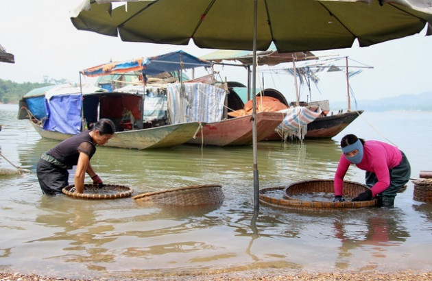 Làng 'đãi hến' hơn 300 năm bên bờ sông La