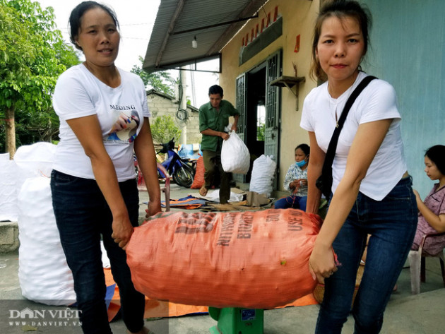 Lạng Sơn: Vùng đất có hồng vành khuyên, loại quả tên nghe như chim vị ngon 'tuyệt phẩm'