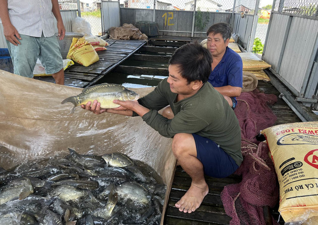 Lão nông nuôi nghìn con ‘cá lạ’, thu vài tỷ đồng mỗi năm