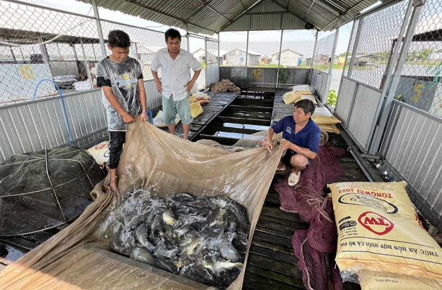 Lão nông nuôi nghìn con ‘cá lạ’, thu vài tỷ đồng mỗi năm