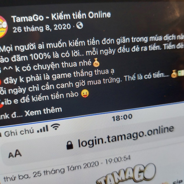 Lao vào đa cấp 'ấp trứng', 'nuôi bò online', nhiều người mang nợicon