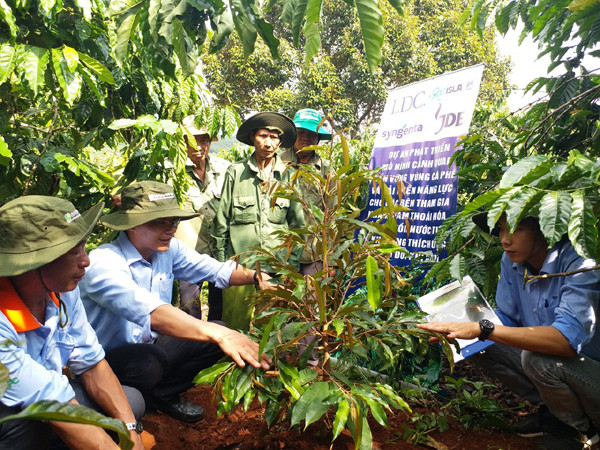 Liên kết chuỗi - ‘chìa khóa’ phát triển nông nghiệp bền vững