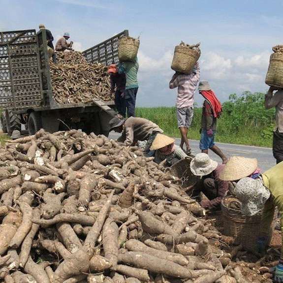 Lo phá sản hàng loạt, kêu cứu khẩn cấp lên Thủ tướngicon