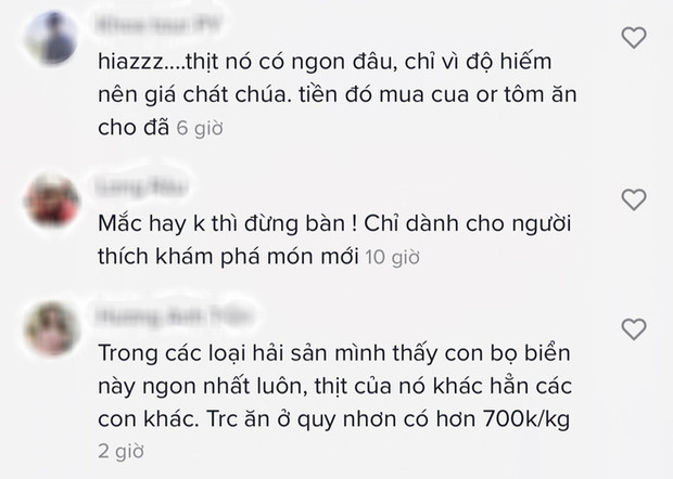 Loại hải sản được cho là ngon hơn cả tôm hùm ở Việt Nam, vì hiếm có khó tìm nên được rao bán với giá “đắt xắt ra miếng”? - Ảnh 15.