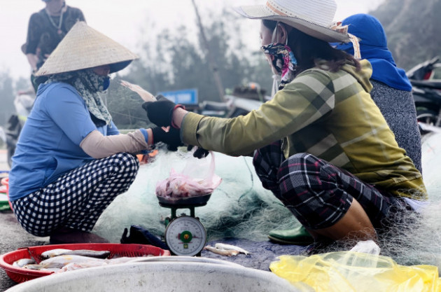 Loài cá làm thức ăn cho heo thành đặc sản ngày lạnh, ngư dân trúng đậm đầu năm