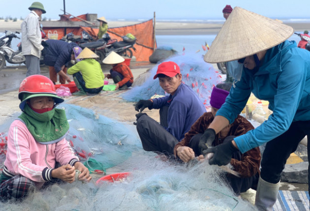 Loài cá làm thức ăn cho heo thành đặc sản ngày lạnh, ngư dân trúng đậm đầu năm