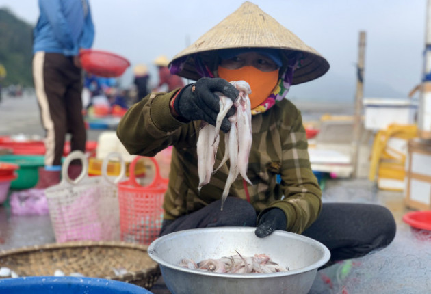 Loài cá làm thức ăn cho heo thành đặc sản ngày lạnh, ngư dân trúng đậm đầu năm