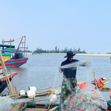 Loài cá làm thức ăn cho heo thành đặc sản ngày lạnh, ngư dân trúng đậm đầu nămicon