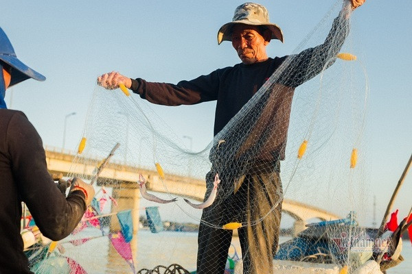 Loại cá 'trắng nõn nà' tên nhà nghèo, bắt đầy thuyền ngư dân thu tiền triệu