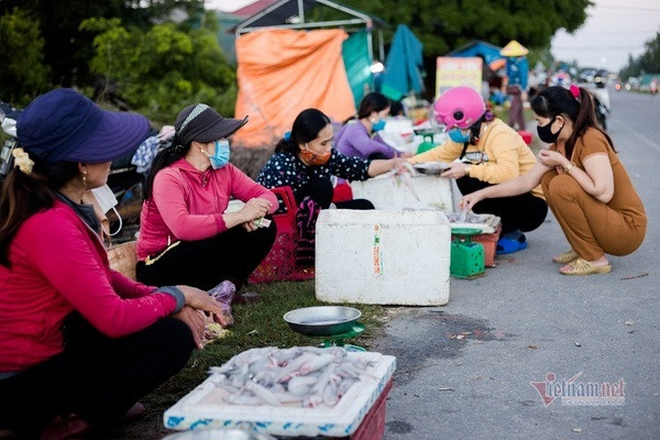 Loại cá 'trắng nõn nà' tên nhà nghèo, bắt đầy thuyền ngư dân thu tiền triệu