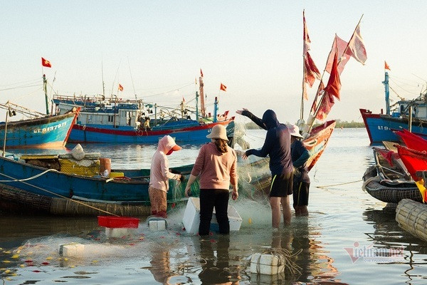 Loại cá 'trắng nõn nà' tên nhà nghèo, bắt đầy thuyền ngư dân thu tiền triệu