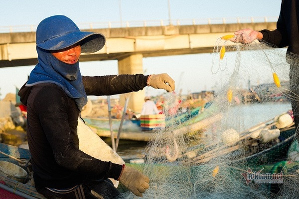 Loại cá 'trắng nõn nà' tên nhà nghèo, bắt đầy thuyền ngư dân thu tiền triệu