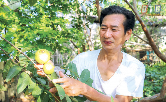 Loài côn trùng chỉ sống vài tiếng, đặc sản trứ danh trên sông Hồng