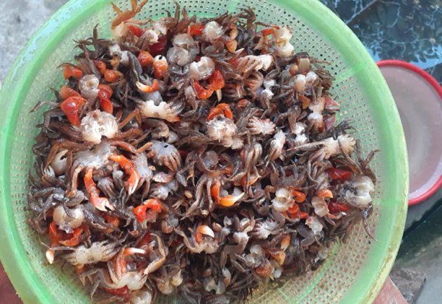 Loài 'cua' lạ chân đỏ rực lại mọc lông đang gây sốt chợ