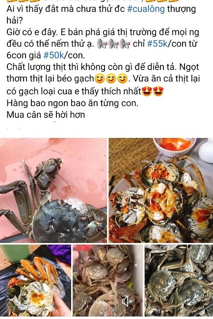 Loại cua 'nhà giàu' bán tràn lan chỉ từ 45.000 đồng/con, tiểu thương 'tiết lộ' sự thật