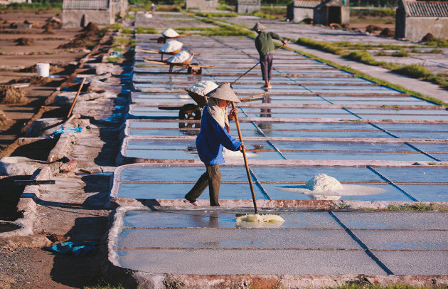 Loại muối thế giới quý như vàng nhưng ở Việt Nam rẻ như bèo, bán chẳng ai mua - Ảnh 3.