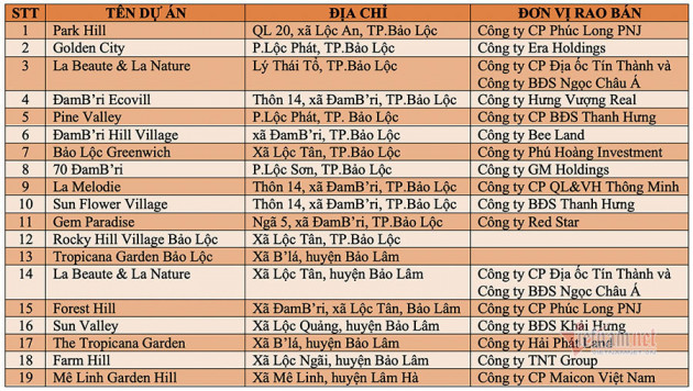 Loạn đất phân lô ‘gắn mác’ dự án, Lâm Đồng dừng giải quyết hồ sơ tách thửa