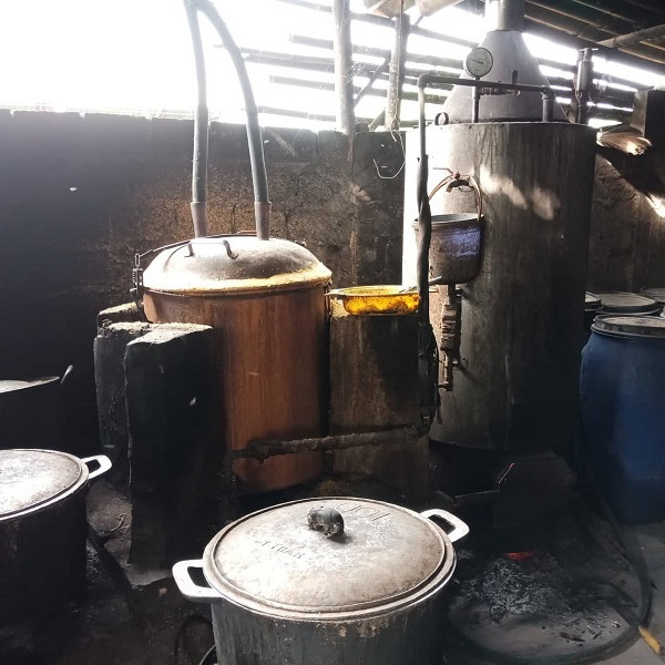 Loạn rượu 'nút lá chuối': Chuyên gia công bố 770 triệu lít, Bộ thống kê 47 triệu líticon