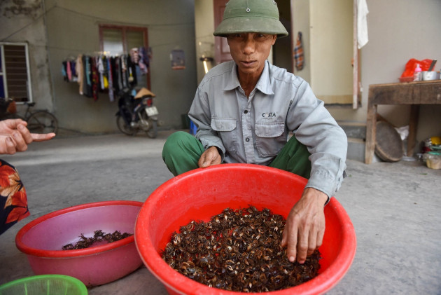 Lộc trời ở Hải Dương, giật nhẹ bỏ giỏ đếm tiền