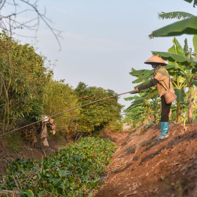 Lộc trời ở Hải Dương, giật nhẹ bỏ giỏ đếm tiền