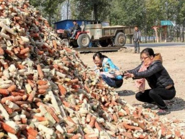 loi ngo la thu vut di o viet nam, nay thanh &quot;mo tien&quot; khong du ban hinh anh 9