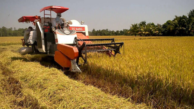 Long An đưa máy bay không người lái vào sản xuất lúa